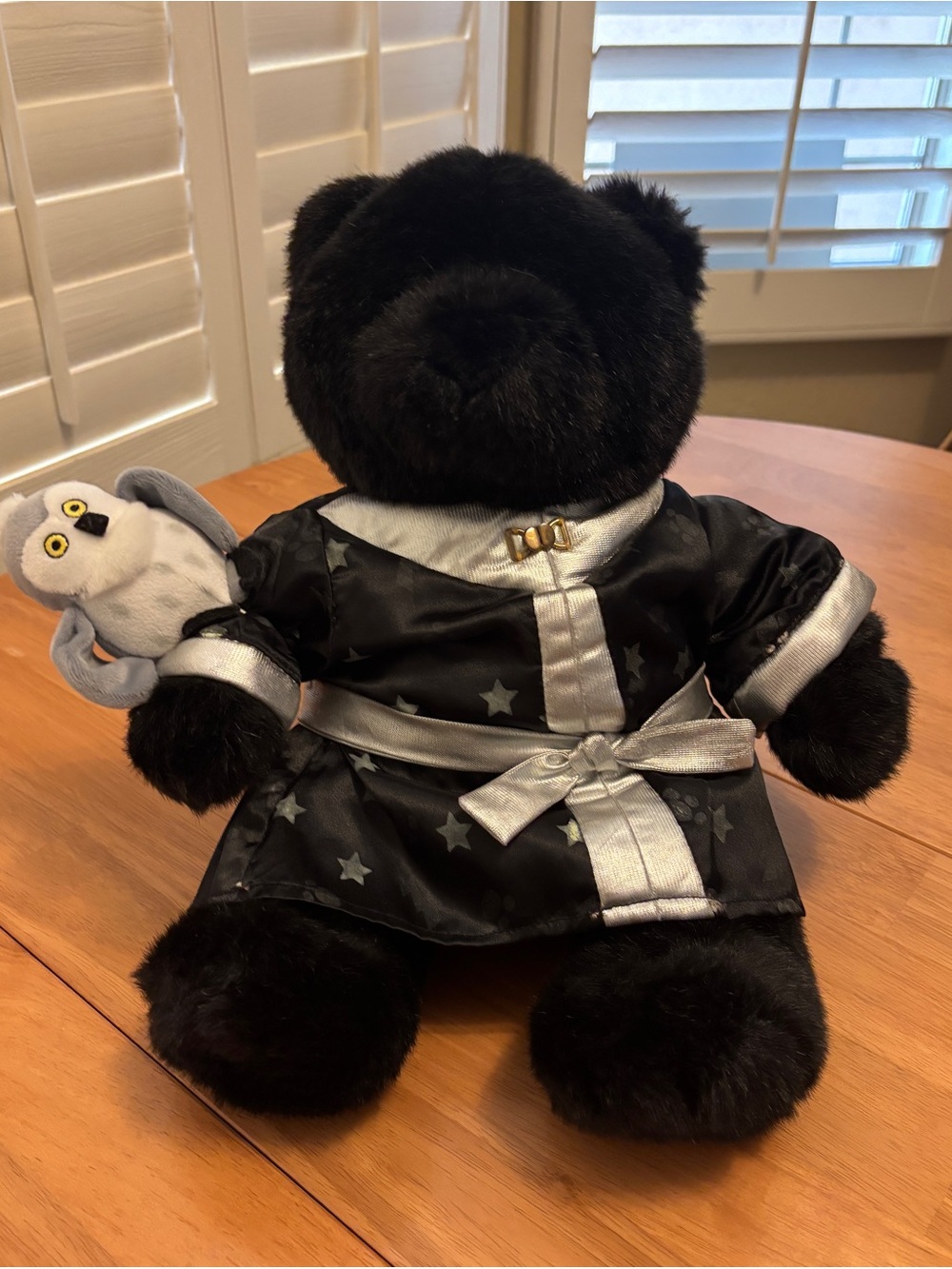 Black Build-A-Bear Teddy Bear in Wizard Robe with Pet Owl ~ Super Cute